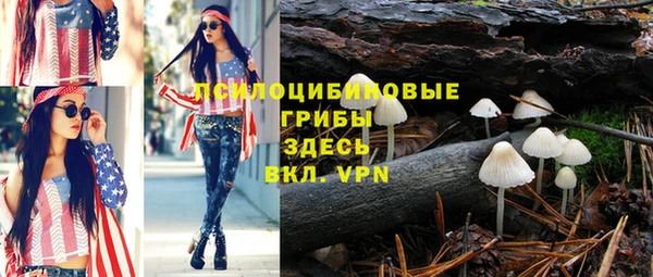 дживик Абинск
