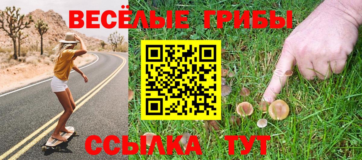 Псилоцибиновые грибы MAGIC MUSHROOMS Избербаш