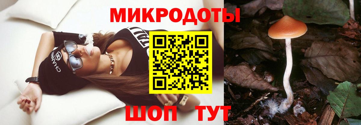 Галлюциногенные грибы Cubensis  Вход с VPN  Псилоцибиновые грибы Cubensis  Избербаш 